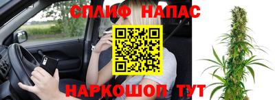 спиды Гатчина