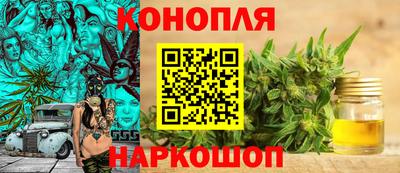 спиды Гатчина