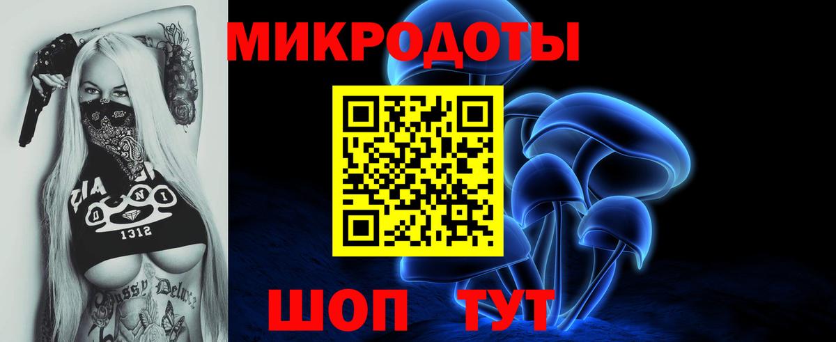 Галлюциногенные грибы Magic Shrooms Гай